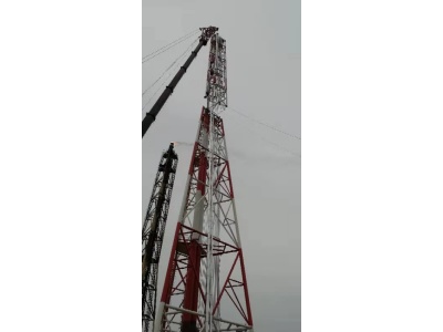 大连锦源-高架火炬图片3