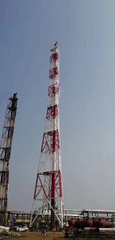 大连锦源-高架火炬图片2